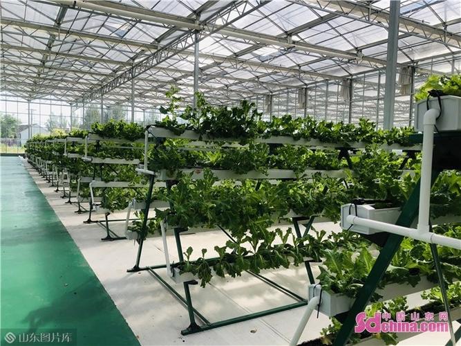 如今,随着农业技术开发,农产品新技术,新品种引进推广,彭东农业逐步